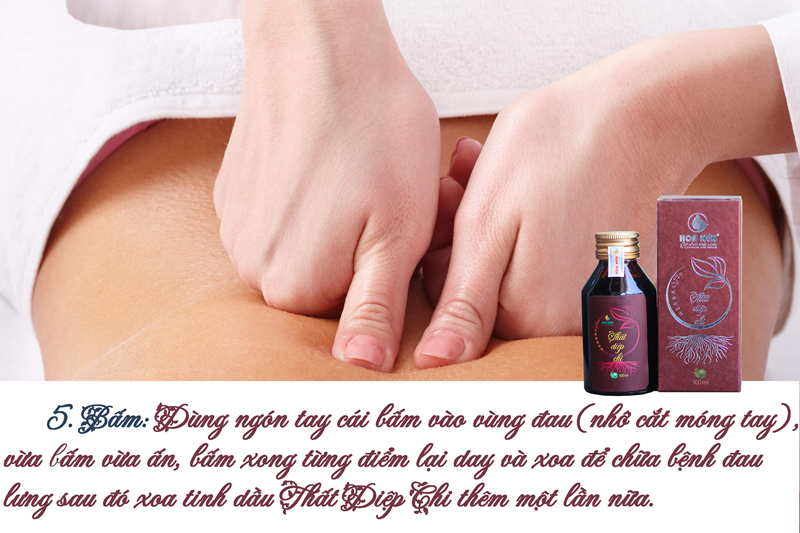 Tinh dầu xoa bóp Thất Diệp Chi 100ml- Thảo dược xoa bóp giúp giảm đau nhức xương khớp, máu huyết lưu thông hiệu quả