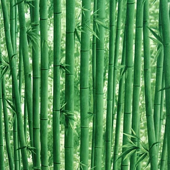 giấy dán tường sỉ lẻ