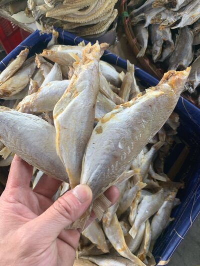 Cá khô đù, khô cá đù 1 nắng đặc sản Phan Thiết thịt trắng, dày, thơm ngon,đóng túi hút chân không 500gram