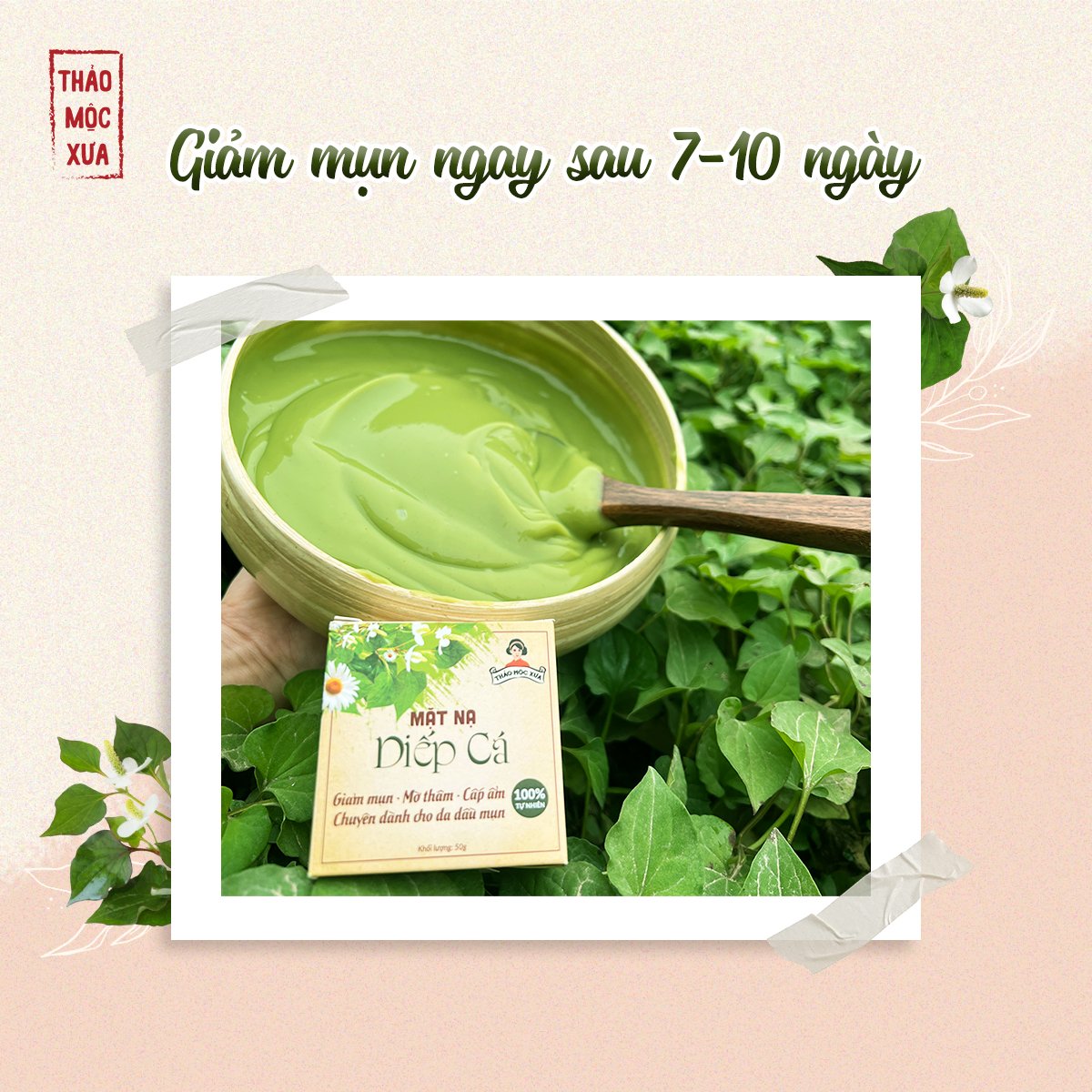 Mặt Nạ Giảm Mụn Diếp Cá Thảo Mộc Xưa - Cấp Ẩm, Ngừa Mụn Sạm Nám, Se Khít Lỗ Chân Lông, Dành Cho Da Dầu Mụn, 100% Thiên Nhiên, An Toàn Cho Mẹ Bầu - Tặng Cọ Đắp Mặt Nạ | 50gr - Miquala