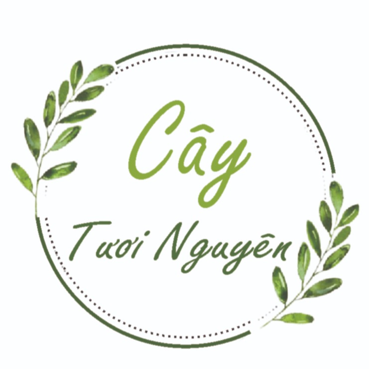Cây Tươi Nguyên
