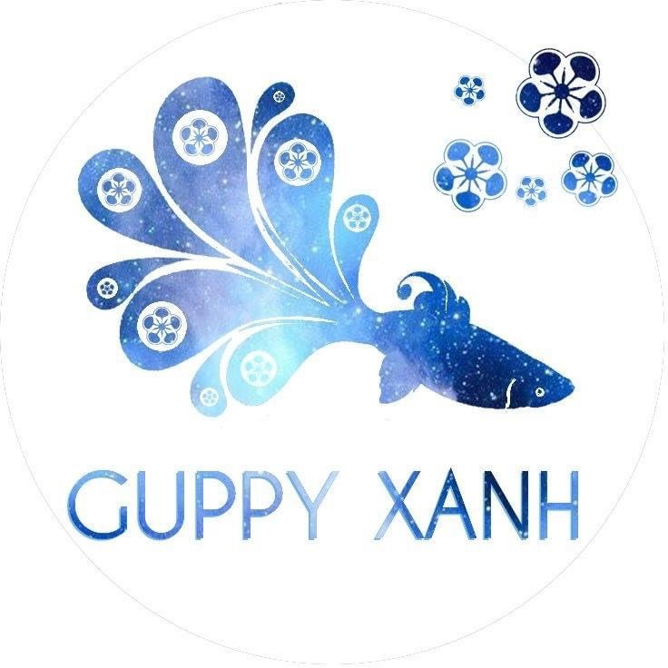 GuppyXanhvn