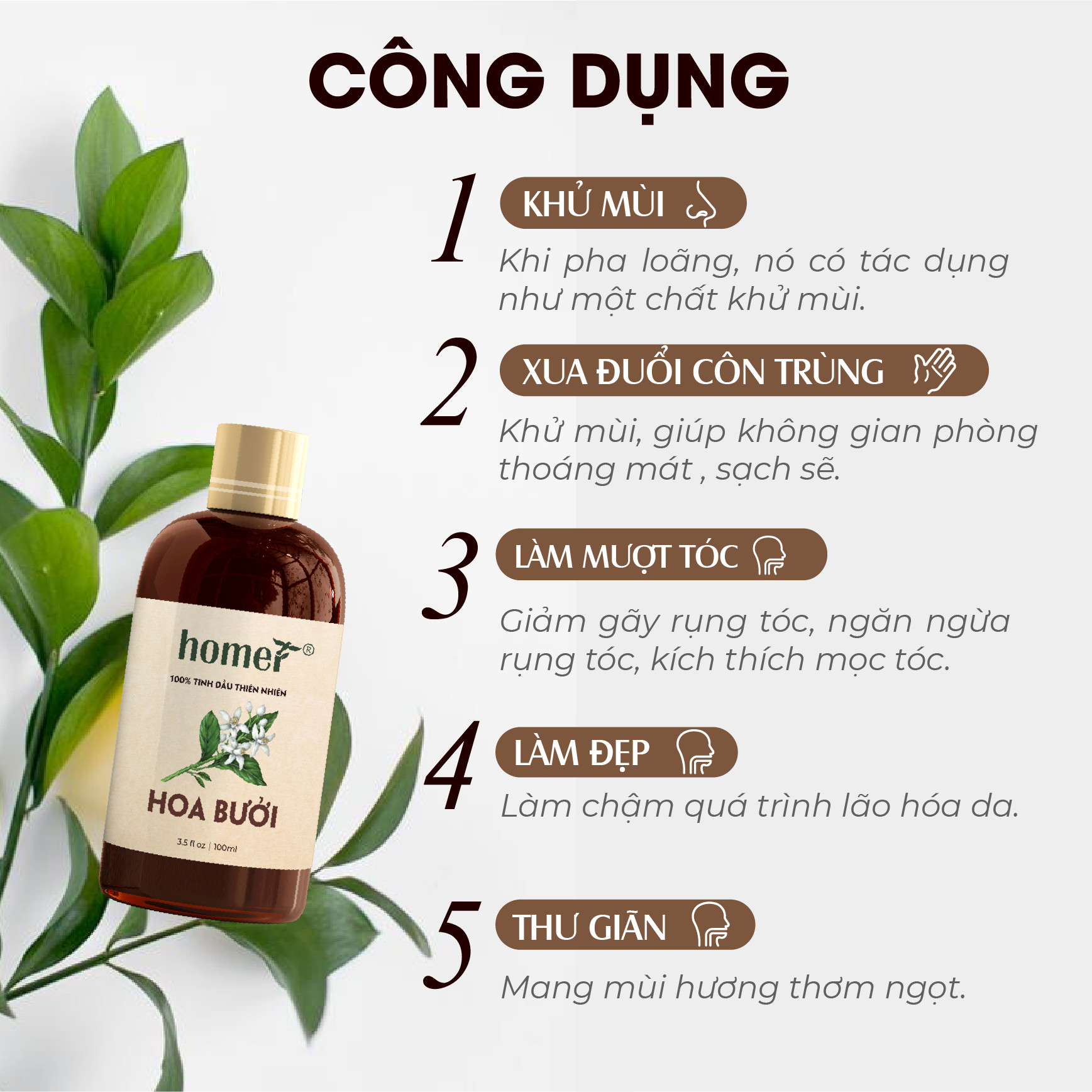 Tinh dầu thiên nhiên Hoa Bưởi Homer giá dùng thử - Dung tích 20ml / 100ml/ 500ml/ 1000ml - Đạt chuẩn kiểm định cao cấp - An toàn cho sức khỏe - Đa công dụng