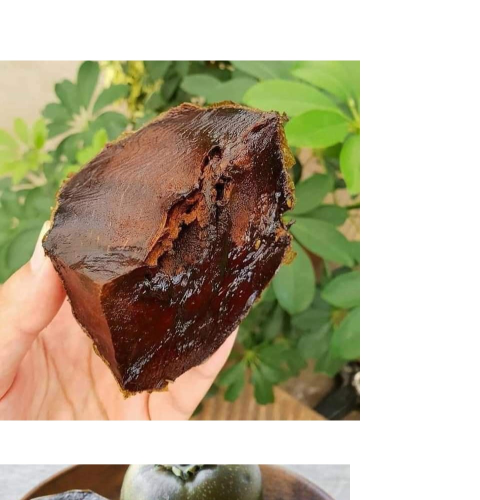 CÂY GIỐNG HỒNG ĐEN SOCOLA ( CÂY GHÉP SIÊU SỚM ) _CÂY GIỐNG ĐỨC MẠNH