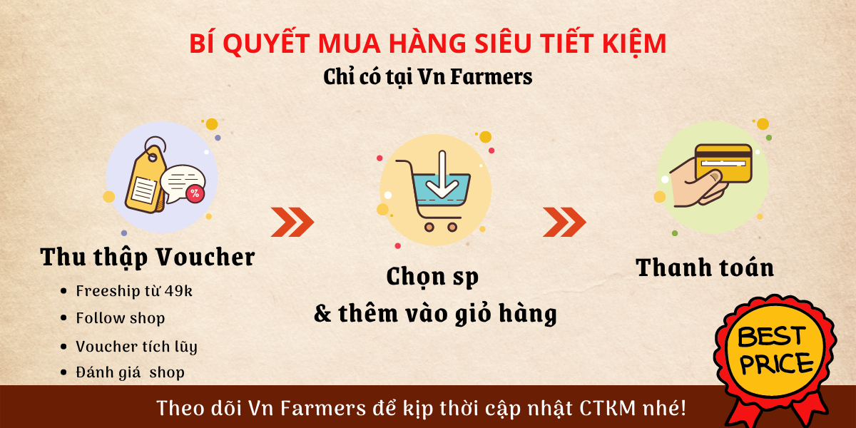 Hộp 250g Hạt điều vỏ lụa rang muối nguyên vị, ăn liền. Từ điều nguyên hạt loại A++, thơm ngon, béo ngậy, ngon mê | VN Farmers