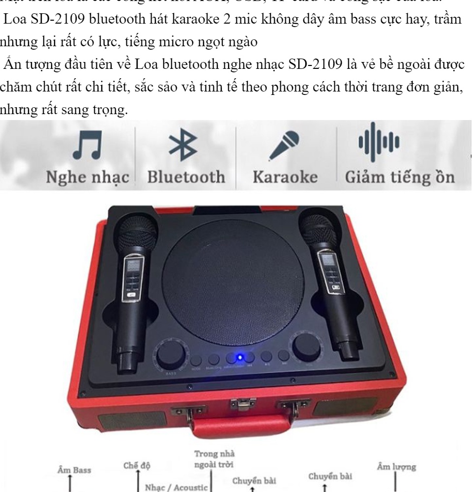 カラオケ スピーカーSORDA SD-2109  Bluetooth V5.0
