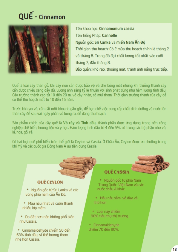 QUẾ KHÚC Ông Chà Và 500g (Cinnamon)- (QUẾ THANH)
