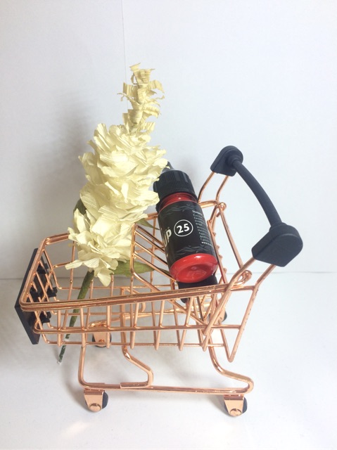 Mực makeup Nga màu 27 - 25 - 31 hot - Bạn đặt mực makeup theo số lượng shop liên hệ lấy đúng màu trước khi gởi-Dcpxtrangphamsg