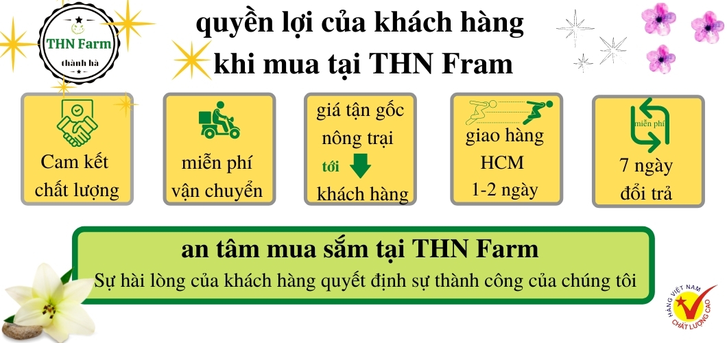 TINH DẦU XẢ  NGUYÊN CHẤT Đuổi Muỗi Côn Trùng.Tinh Dau Sả Chanh Lau Nhà Khử Mùi Kháng Khuẩn/dầu sả ép nguyên chất 100%.CHỐNG MUỖI -DIỆT MUỖI-LÀM ĐẸP  -LAU NHÀ.THN Farm +Tặng Kèm Quà