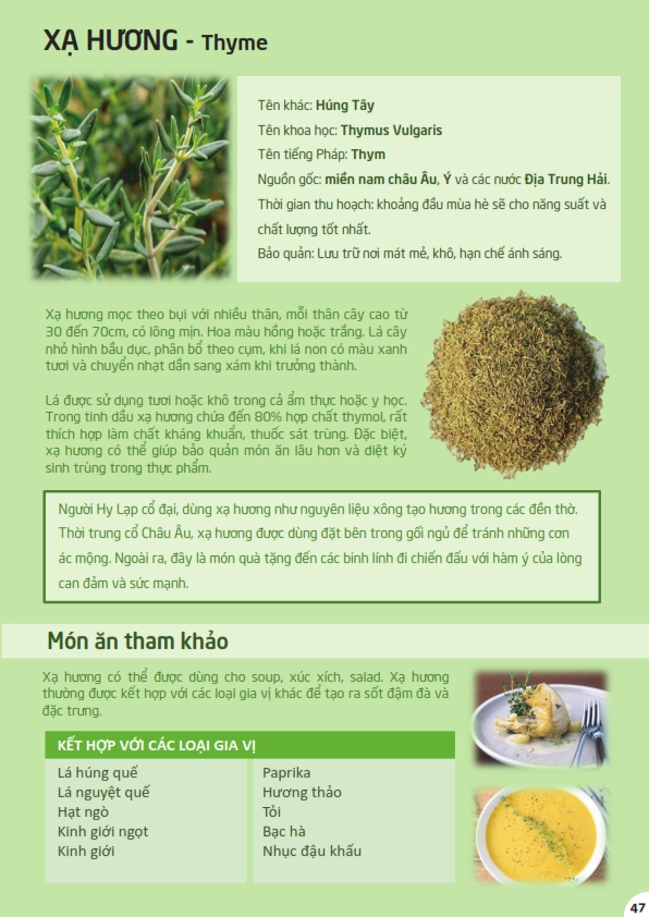 Lá xạ hương Ông Chà Và 1kg (Thyme Leaf) nhập khẩu từ Thổ Nhĩ Kỳ, hương thơm dễ chịu, sử dụng cho ẩm thực , làm đẹp