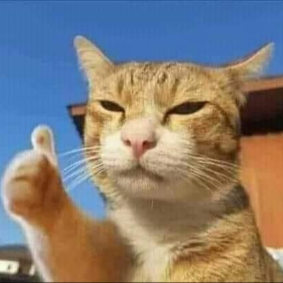 VN33 Cửa hàng đặc sản