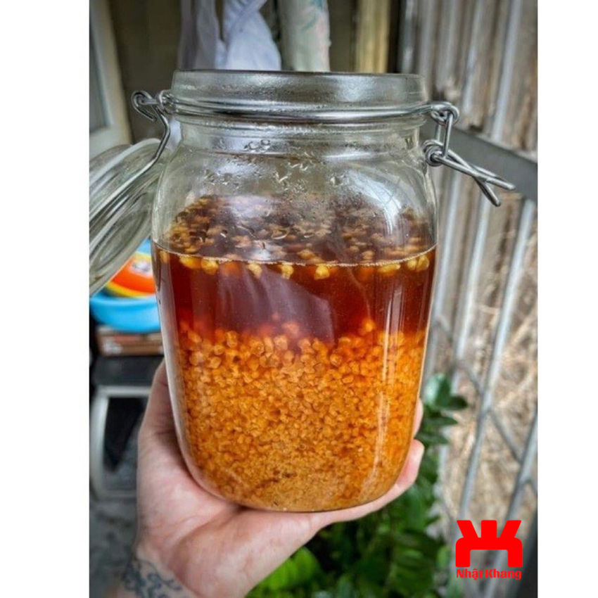 Water kefir nấm nước TO KHOẺ tạo thức uống có gas, trọn bộ nuôi nấm