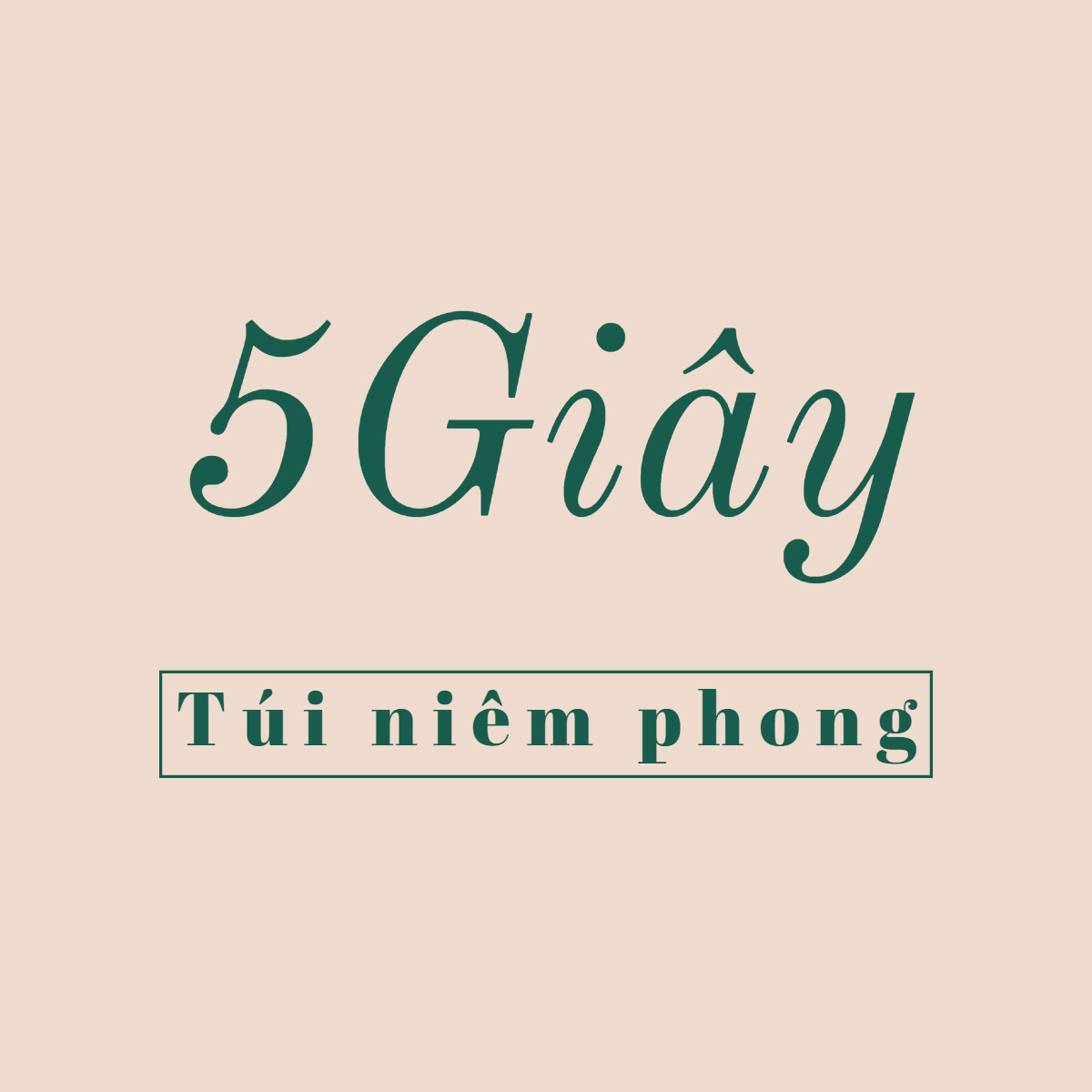 Túi Niêm Phong - Túi Gói Hàng