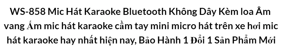 Mic Karaoke Bluetooth - Micro Không Dây Cầm Tay WS-858