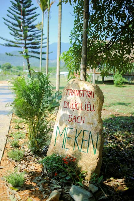 Bột rau má nguyên chất Mẹ Ken 100 gr