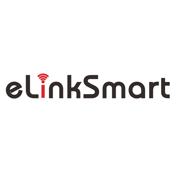 Elinsmart smart lock