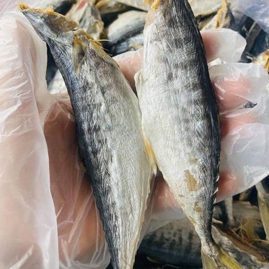 KHÔ CÁ THU LẠT ,KHÔNG ĐẦU THỊT THƠM NGON, BỔ DƯỠNG KHÔNG CHẤT BẢO QUẢN TẠI KHÔ CÁ CÀ MAU- ĐÓNG GÓI 1kg, 100GR, 500GR, 200gr