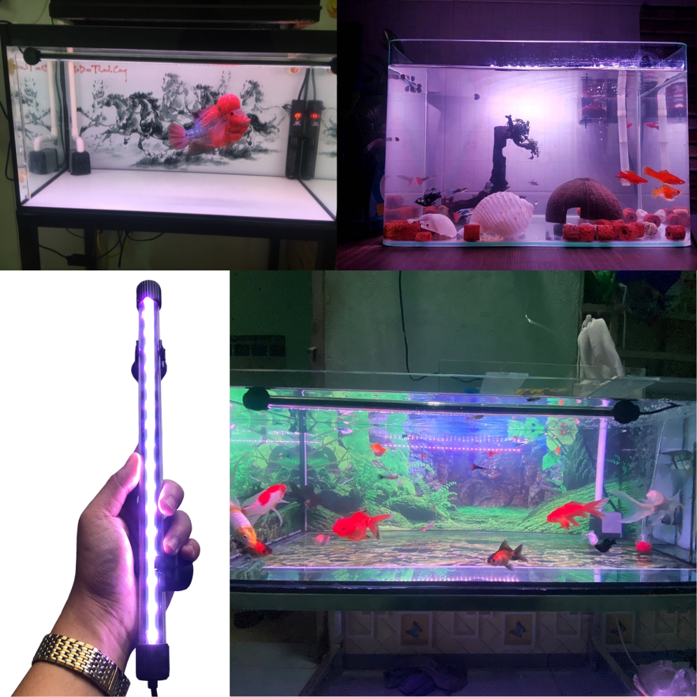 Đèn bể cá cảnh 30cm - 80cm giúp đỏ cá không đỏ nước