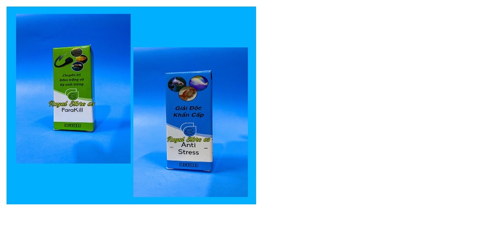 Combo Anti Stress + Parakill cho cá cảnh Cá Khỏe Cá Sung (20ml)