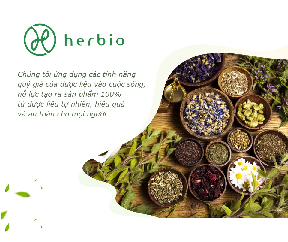 hcmtrà dược liệu bồ công anh herbio giúp giảm cân giảm mụn mát gan giải 1