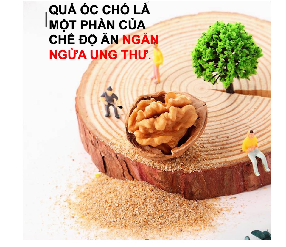 Hạt Óc Chó Tách Vỏ - Túi zip 500gr - ?Quả Óc Chó Úc Chandler 100% Nhập khẩu từ ?Úc - Đồ ăn vặt mẹ bầu dành cho giảm cân - Cực kì tốt cho tim mạch - Andys Gourmet - Đồ ăn vặt