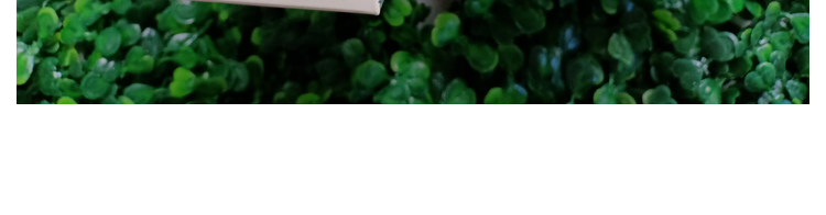 Trà giảm cân Hoa Sâm Đất Plus (15 gói)