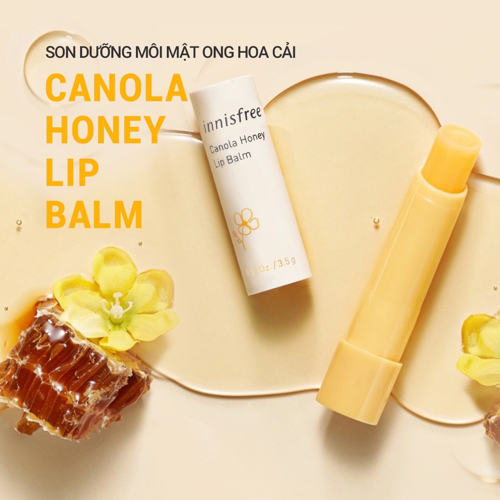 Son dưỡng môi không màu Innisfree Canola Honey Lip Balm MẪU MỚI - Dưỡng môi  | TheFaceHolic.com