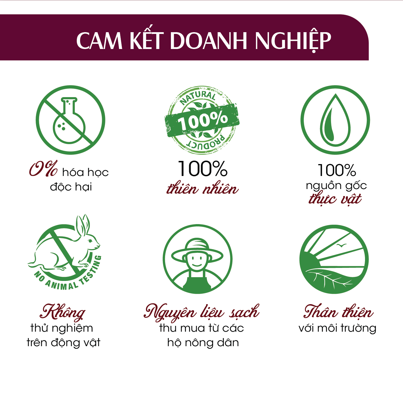 Tinh dầu thiên nhiên Hoa Anh Đào 24Care 10ml/100ml - xông phòng, chăm sóc tóc và da