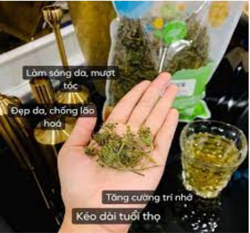 Trà hoa sâm Hàn Quốc chính hãng