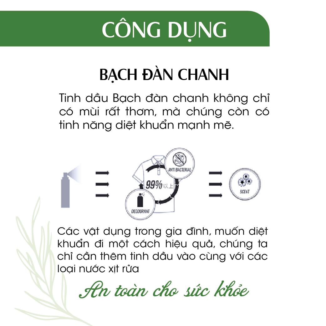 Xịt Phòng Tinh Dầu Bạch Đàn Chanh Hữu Cơ Organic 24Care 250ML - Kháng khuẩn - Khử mùi hôi - Đuổi muỗi - côn trùng - Hương thơm mạnh mẽ giúp tái tạo năng lượng nhanh, giảm stress hiệu quả