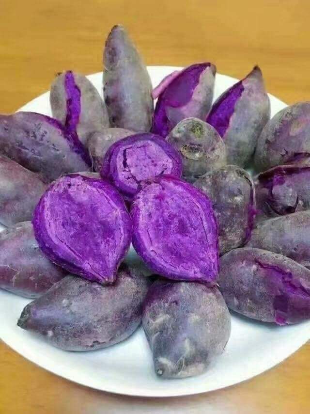 Khoai lang tím - 1KG v 0.5 kg - món ăn bổ dưỡng cho nhiều đối tượng