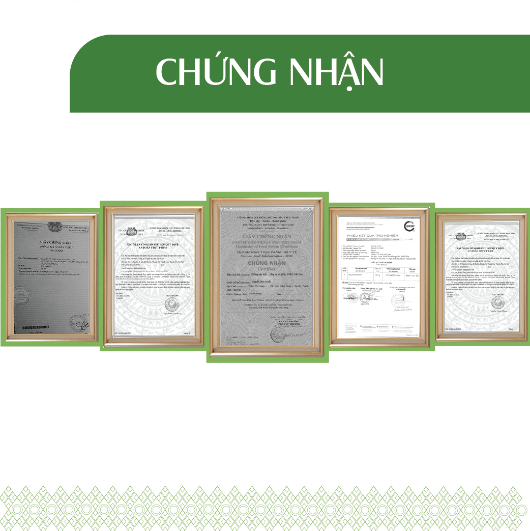 Xịt Phòng Tinh Dầu Bạch Đàn Chanh Hữu Cơ Organic 24Care 250ML - Kháng khuẩn - Khử mùi hôi - Đuổi muỗi - côn trùng - Hương thơm mạnh mẽ giúp tái tạo năng lượng nhanh, giảm stress hiệu quả
