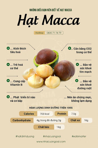 Hạt Macca ĐẮK LẮK nứt vỏ nướng hộp 500g - Kèm dụng cụ tách vỏ, bảo vệ tim mạch, hỗ trợ trao đổi chất và chống oxy hóakèm dụng cụ tách vỏ