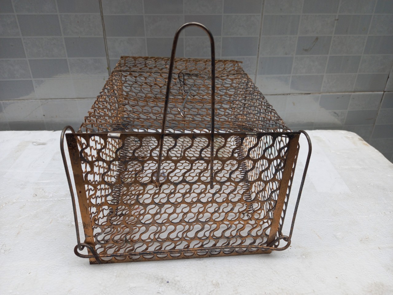 25 cm Mouse Trap Cage with Lock