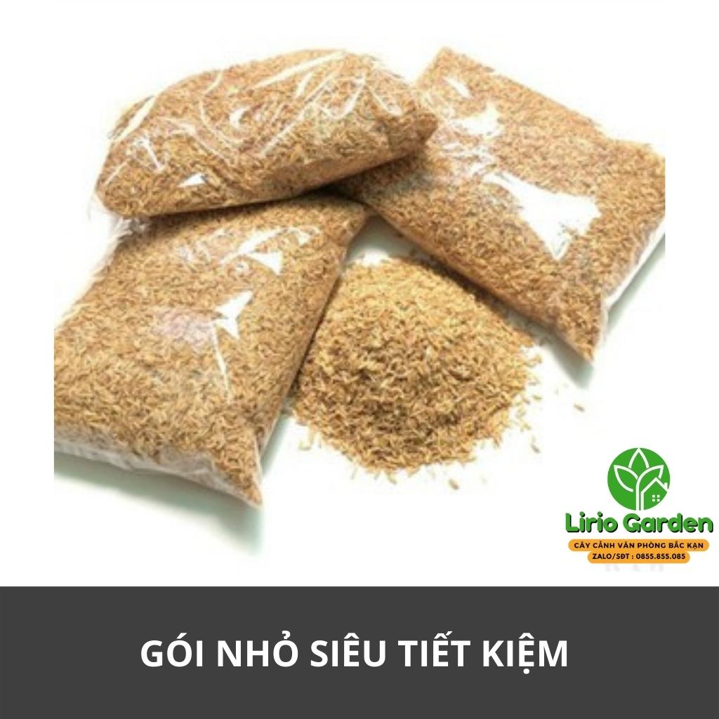 vỏ trấu khô