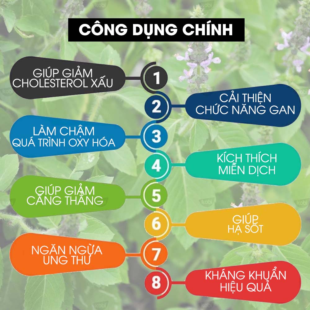Tinh dầu Hương nhu Kobi Holy basil essential oil giúp đuổi muỗi, khử mùi, làm thơm phòng -5ml