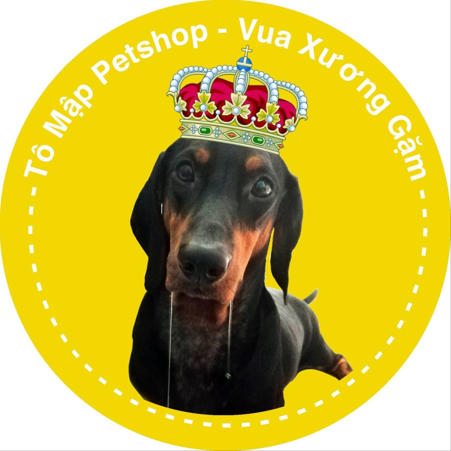 THE GIOI XUONG GAM PETSHOP