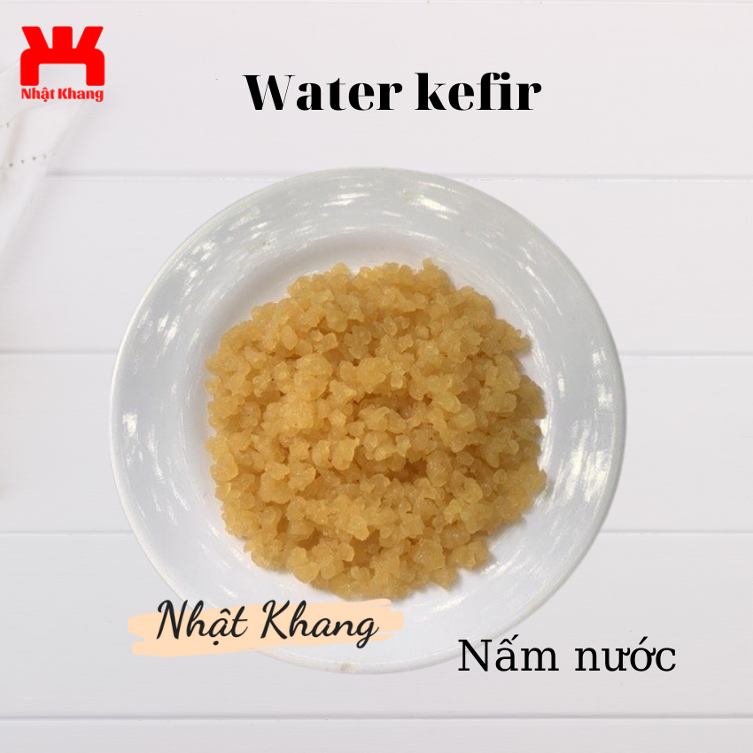 Water kefir nấm nước TO KHOẺ tạo thức uống có gas, trọn bộ nuôi nấm – Đồ uống không gas khác