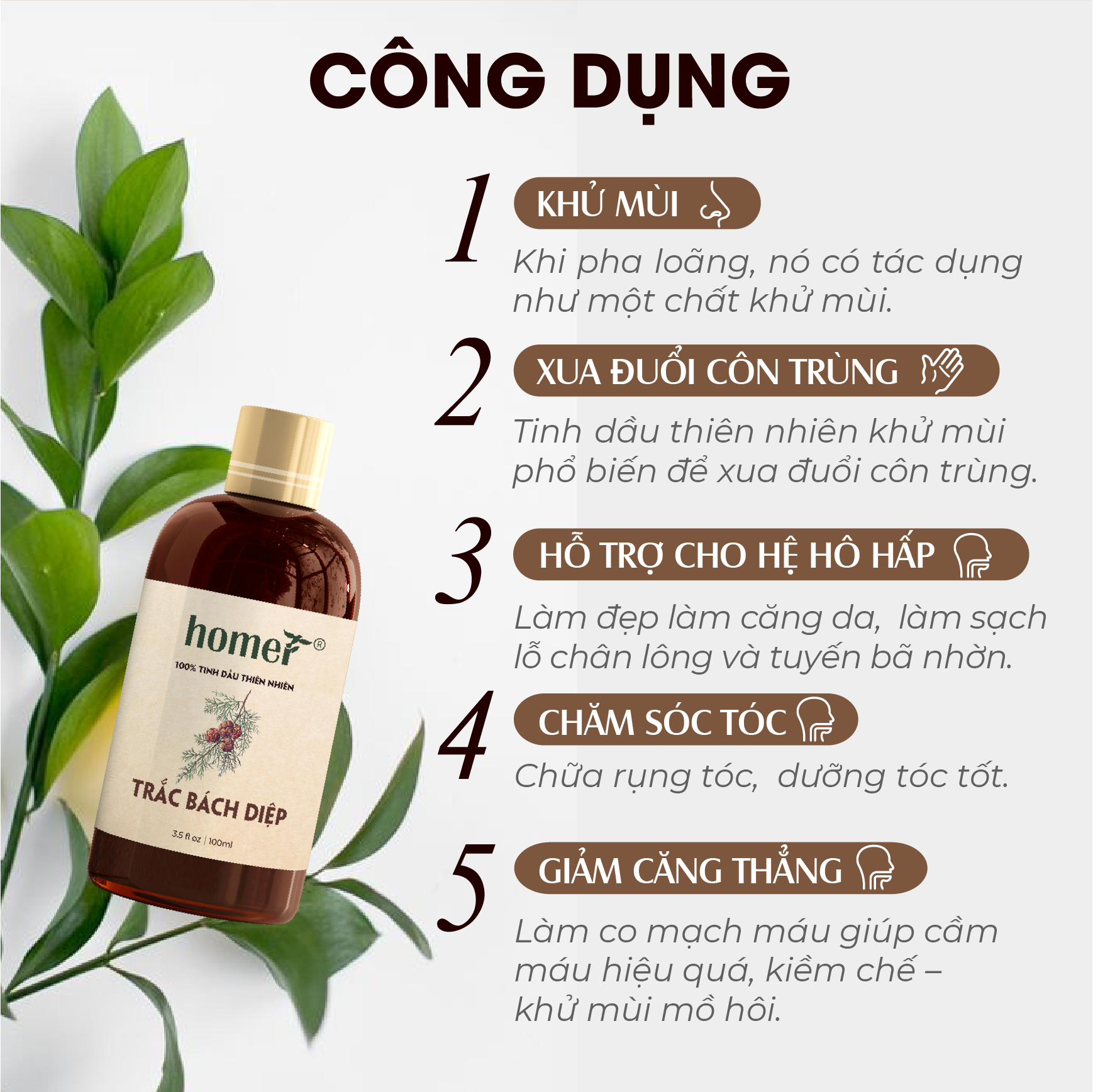 Tinh dầu thiên nhiên Trắc Bách Diệp Homer - Dung tích 20ml / 100ml/ 500ml/ 1000ml - Đạt chuẩn kiểm định cao cấp - An toàn cho sức khỏe - Đa công dụng