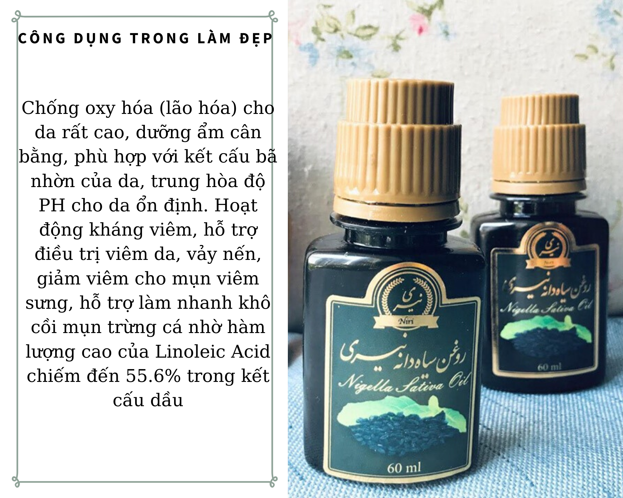 Dầu hạt thì là đen- Black cumin seed oil