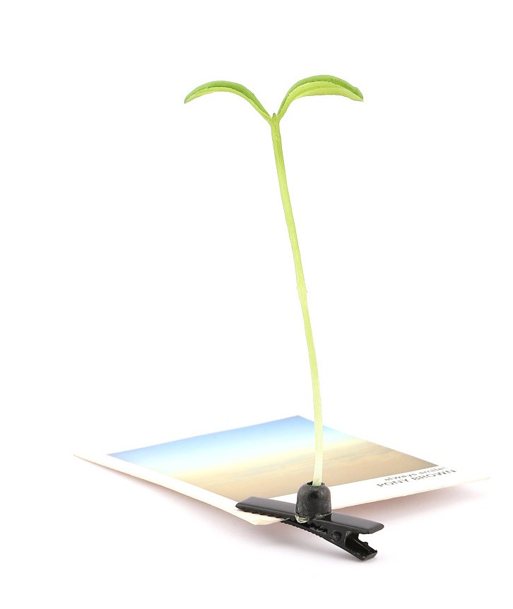 Combo bộ 5 cây kẹp tóc mầm cây cute