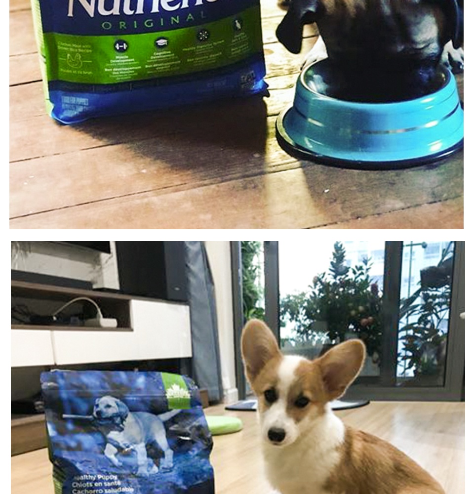  Bỏ sỉ Thức Ăn Cho Chó Con Poodle Nutrience Original - Thịt Gà Rau Củ & Trái giá rẻ