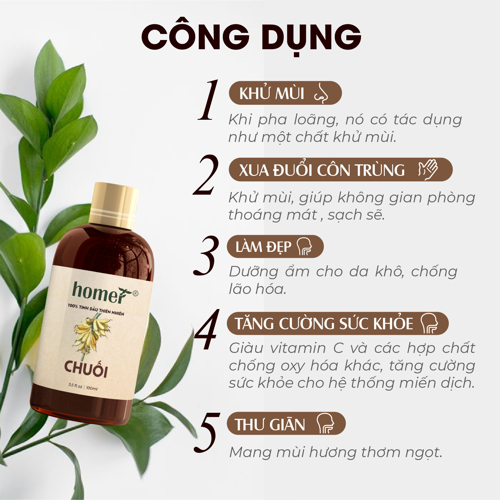 Tinh dầu thiên nhiên Chuối Homer giá dùng thử - Dung tích 20ml / 100ml/ 500ml/ 1000ml - Đạt chuẩn kiểm định cao cấp - An toàn cho sức khỏe - Đa công dụng
