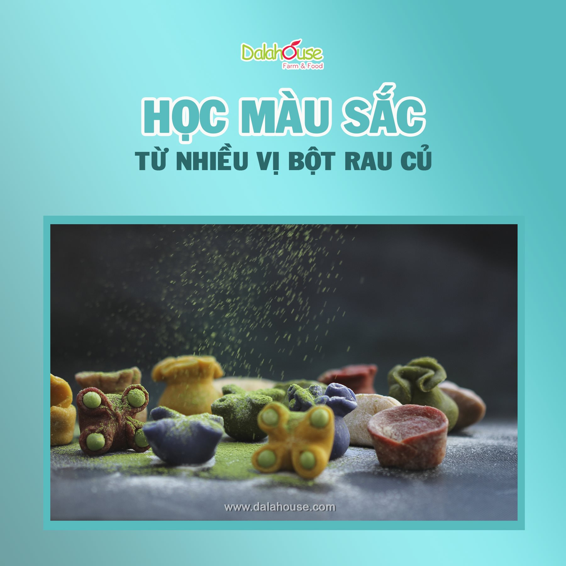 COMBO 2 Bột Rau Củ Cho Bé Ăn Dặm Organic Nguyên Chất 100% Dalahouse - Rau Củ Sấy Lạnh Cho Bé Ăn Dặm-Hấp thụ tốt, Ăn ngon miệng, Cải thiện tiêu hóa, Tăng cường miễn dịch tự thân-Tiêu Chuẩn Hoà Kỳ NPP Anni Group