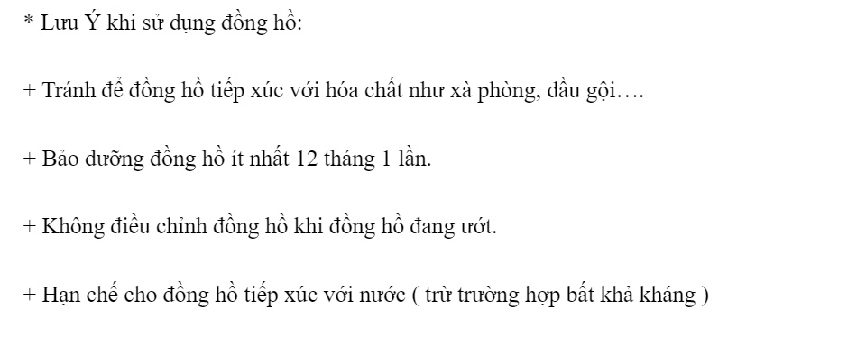Đồng Hồ Cơ Nam Thương Hiệu PAGINI - Thiết Kế Lộ Máy Độc Đáo 11