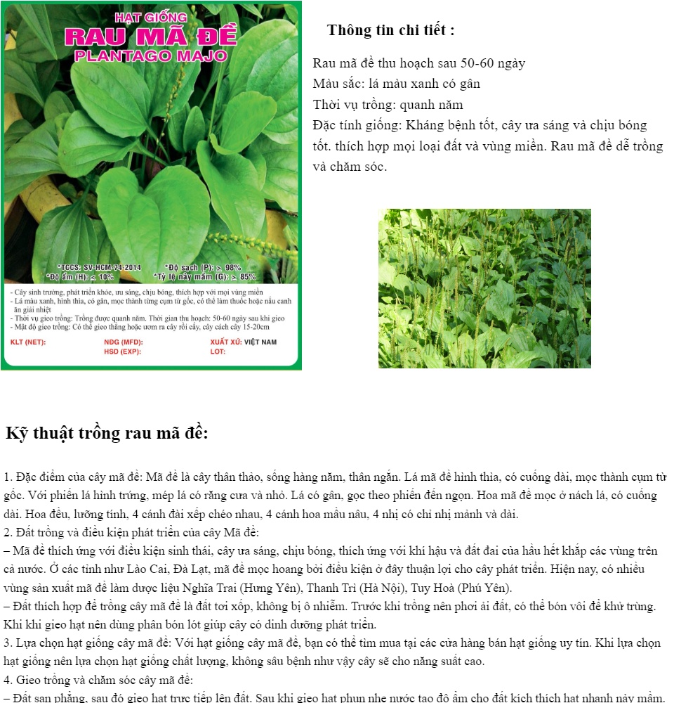 Hạt giống rau mã đề - cây má đề PSV86 (hạt giống bmt )
