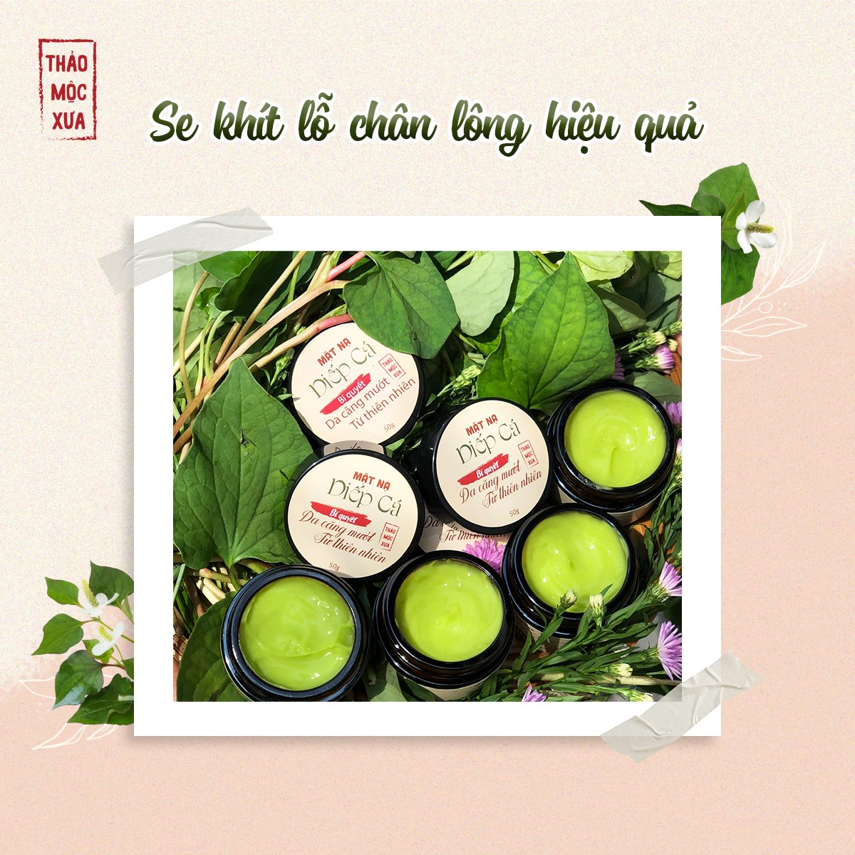 Mặt Nạ Giảm Mụn Diếp Cá Thảo Mộc Xưa - Cấp Ẩm, Ngừa Mụn Sạm Nám, Se Khít Lỗ Chân Lông, Dành Cho Da Dầu Mụn, 100% Thiên Nhiên, An Toàn Cho Mẹ Bầu - Tặng Cọ Đắp Mặt Nạ | 50gr - Miquala