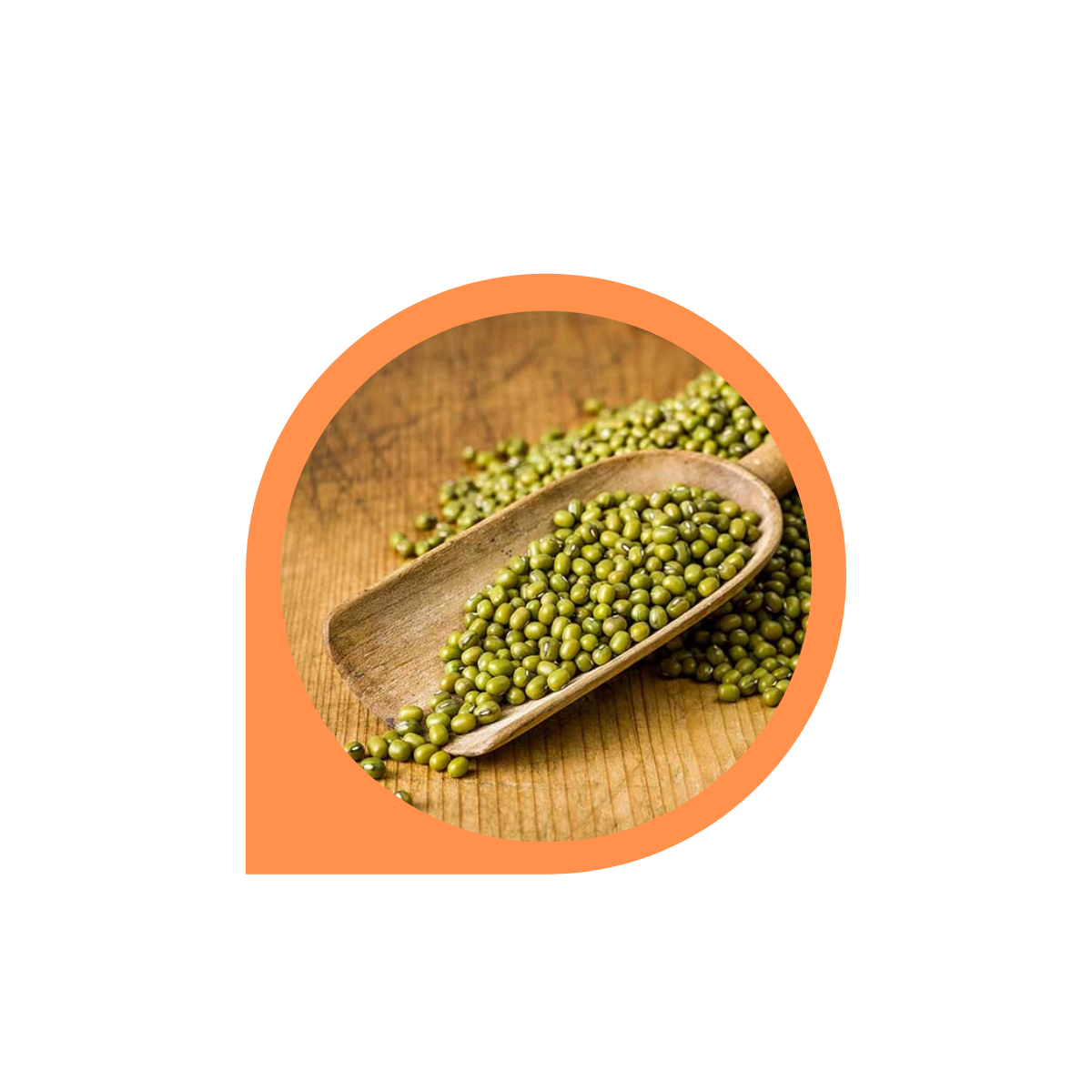 Combo 10 chai Kem tan mỡ bụng, Gel tan mỡ bụng Quế Olic - 4 Girls