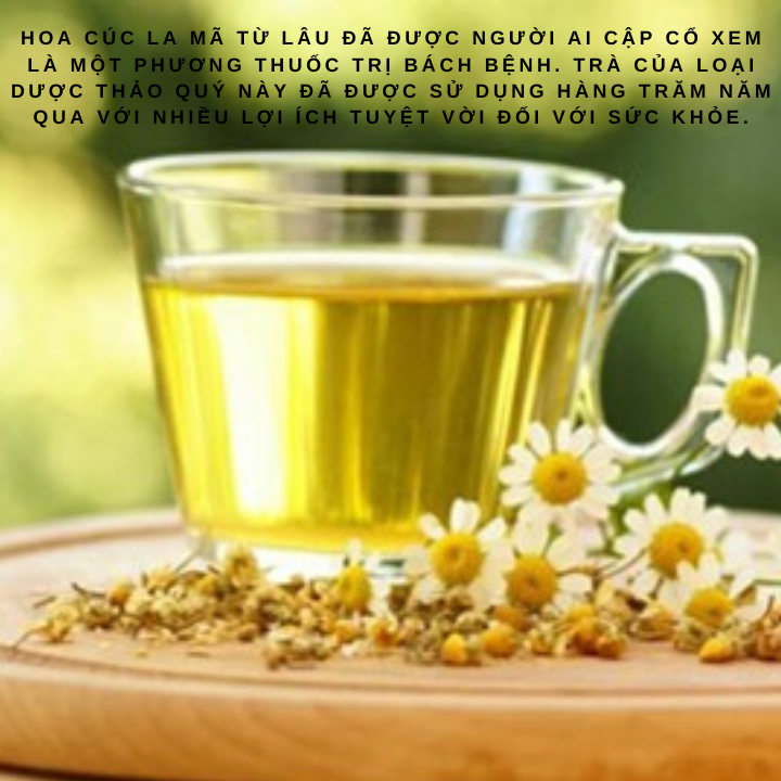 TRÀ HOA CÚC LA MÃ- CÚC LA MÃ KHÔ - TRÀ HOA CÚC (TRỌNG LƯỢNG: 1 kg)