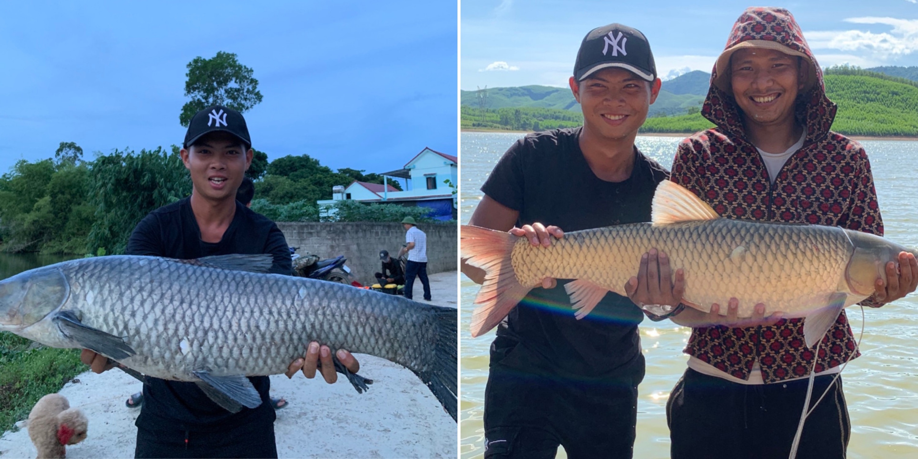 Thính câu cá LK HÒA siêu nhạy chuyên câu cá to - Mồi thính Lk Hòa dạng bột